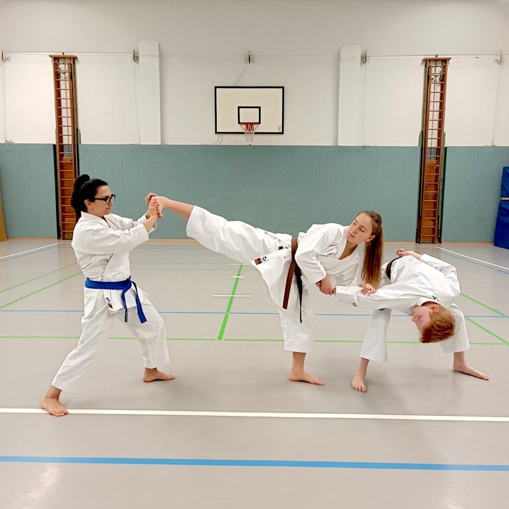 Main image of Shotokan-Karate-Würzburg