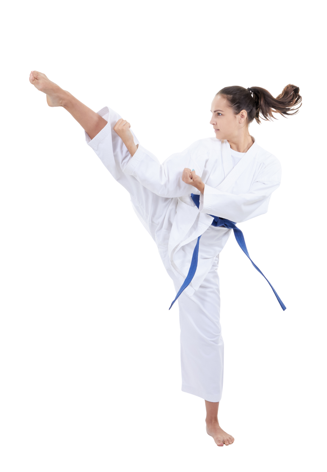 Main image of Shugosha Contemporary Martial Science