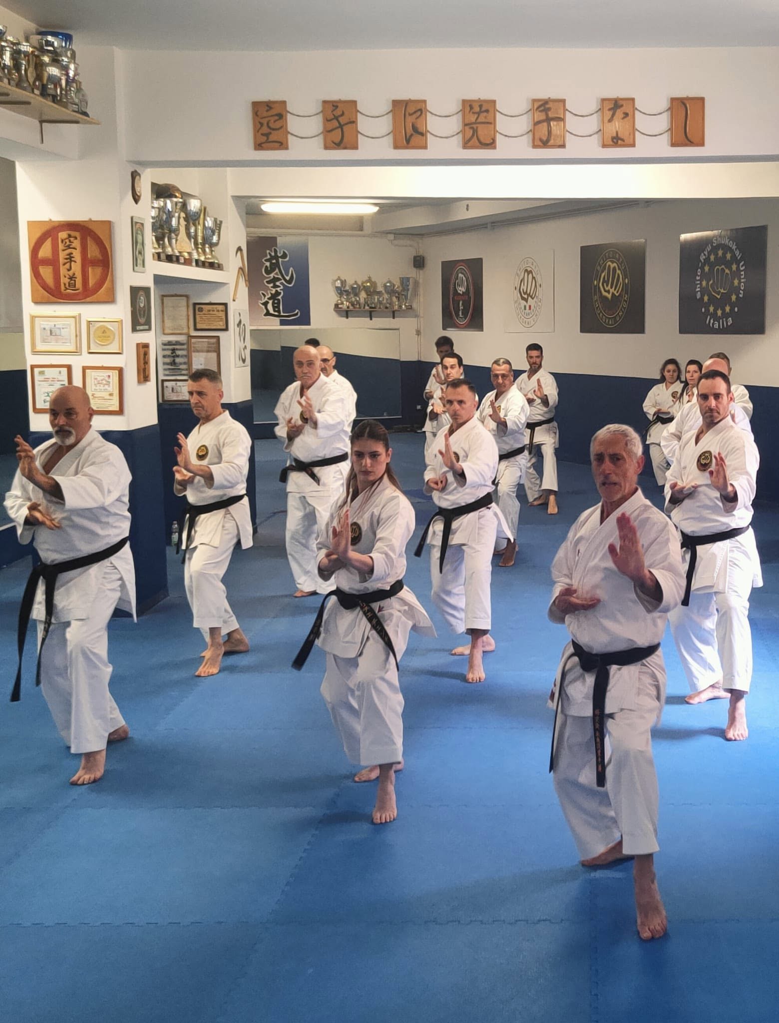 Main image of Shukokai Italia