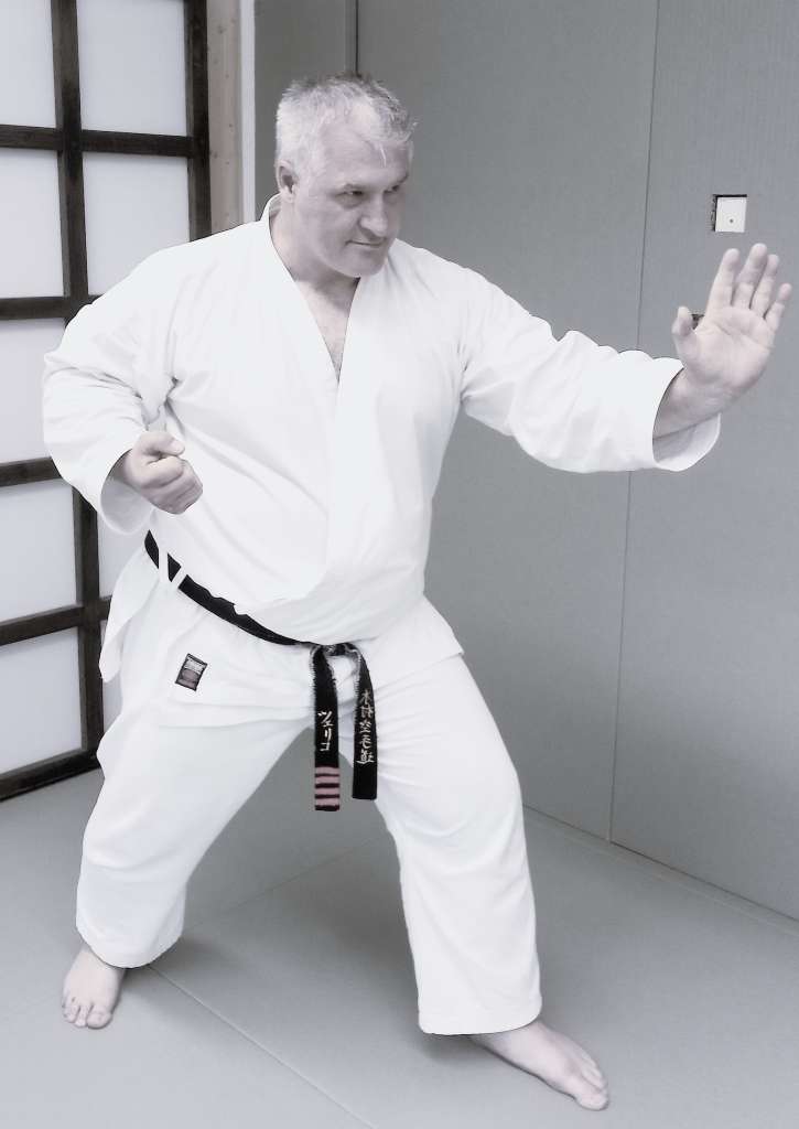 Main image of Shukokai Karate Jona