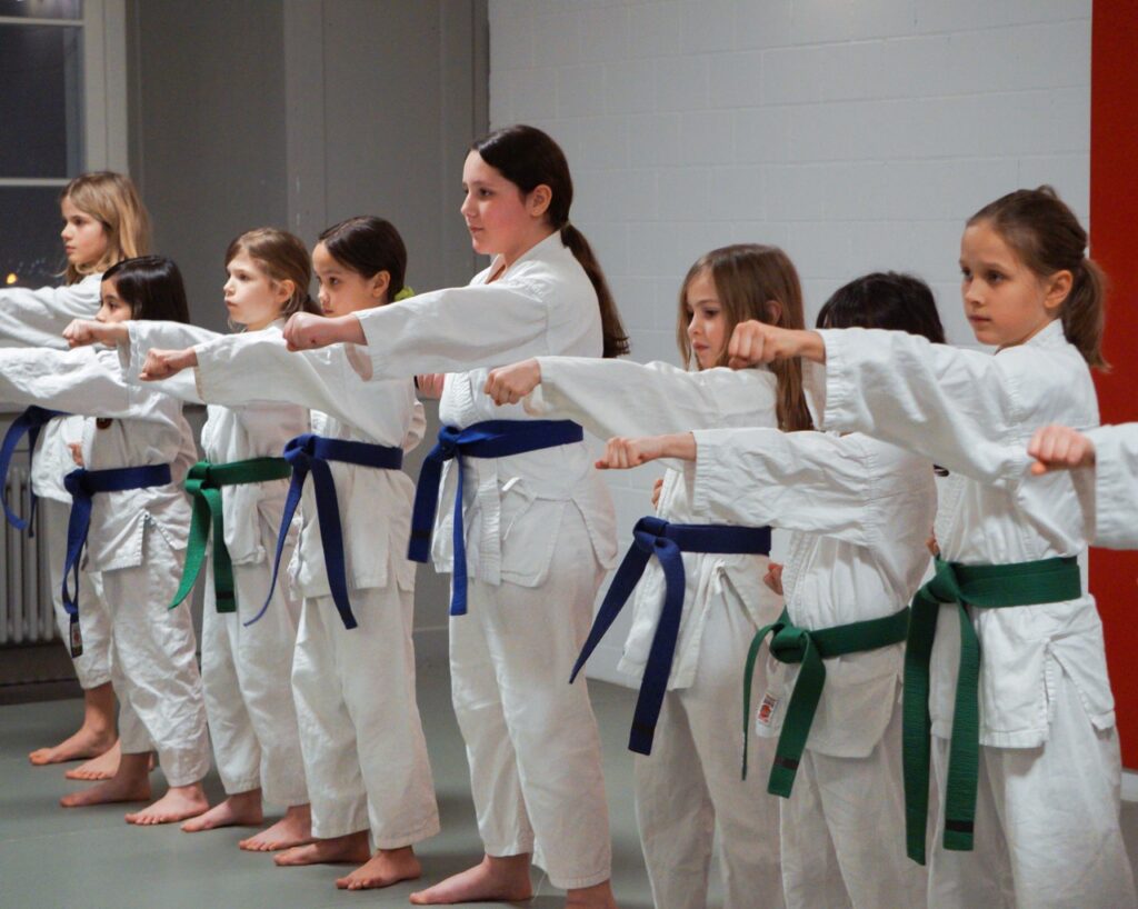 Main image of Shukokai Karate