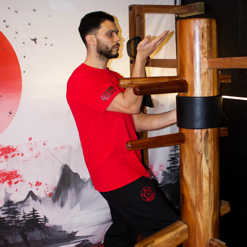 Main image of Sidcupwingchun