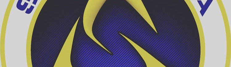 Main image of Sidney Silva BJJ