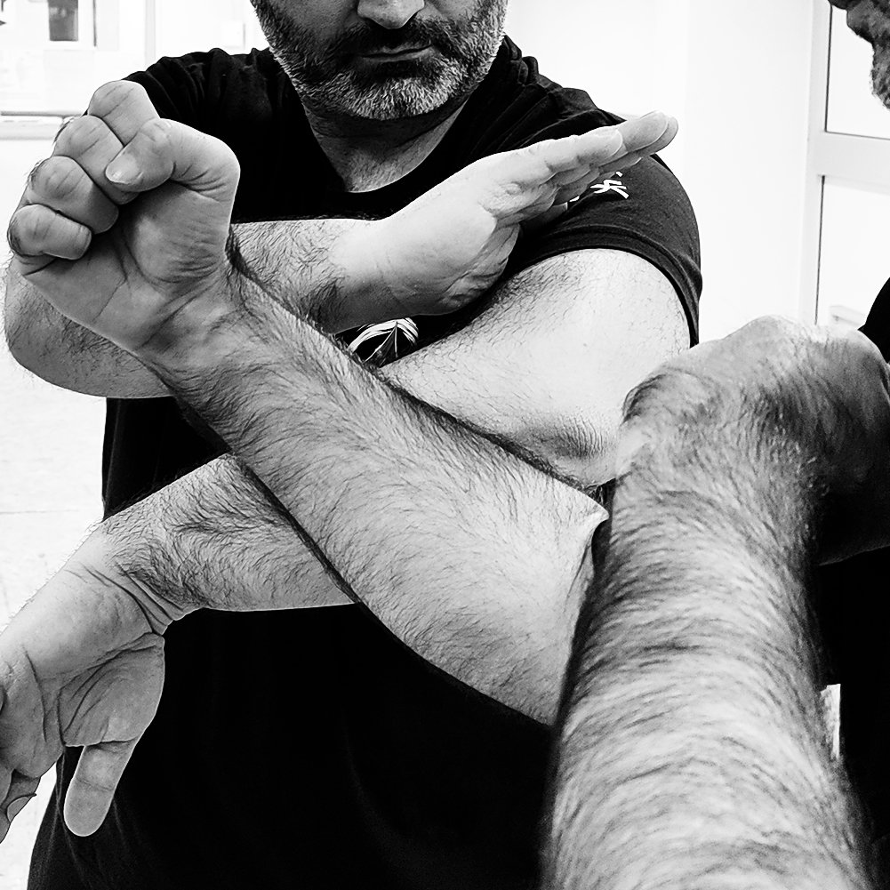 Main image of Sifu Marcello
