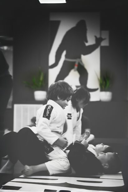 Signal Mountain Jiu-Jitsu