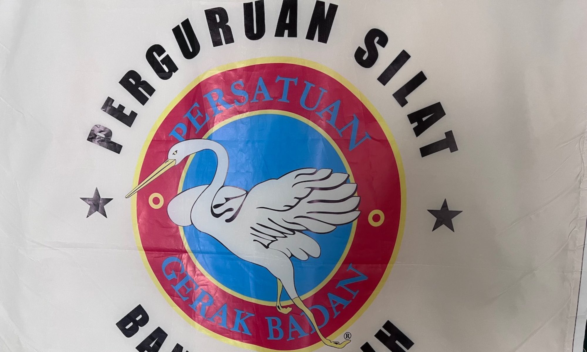 Main image of Silat Montréal