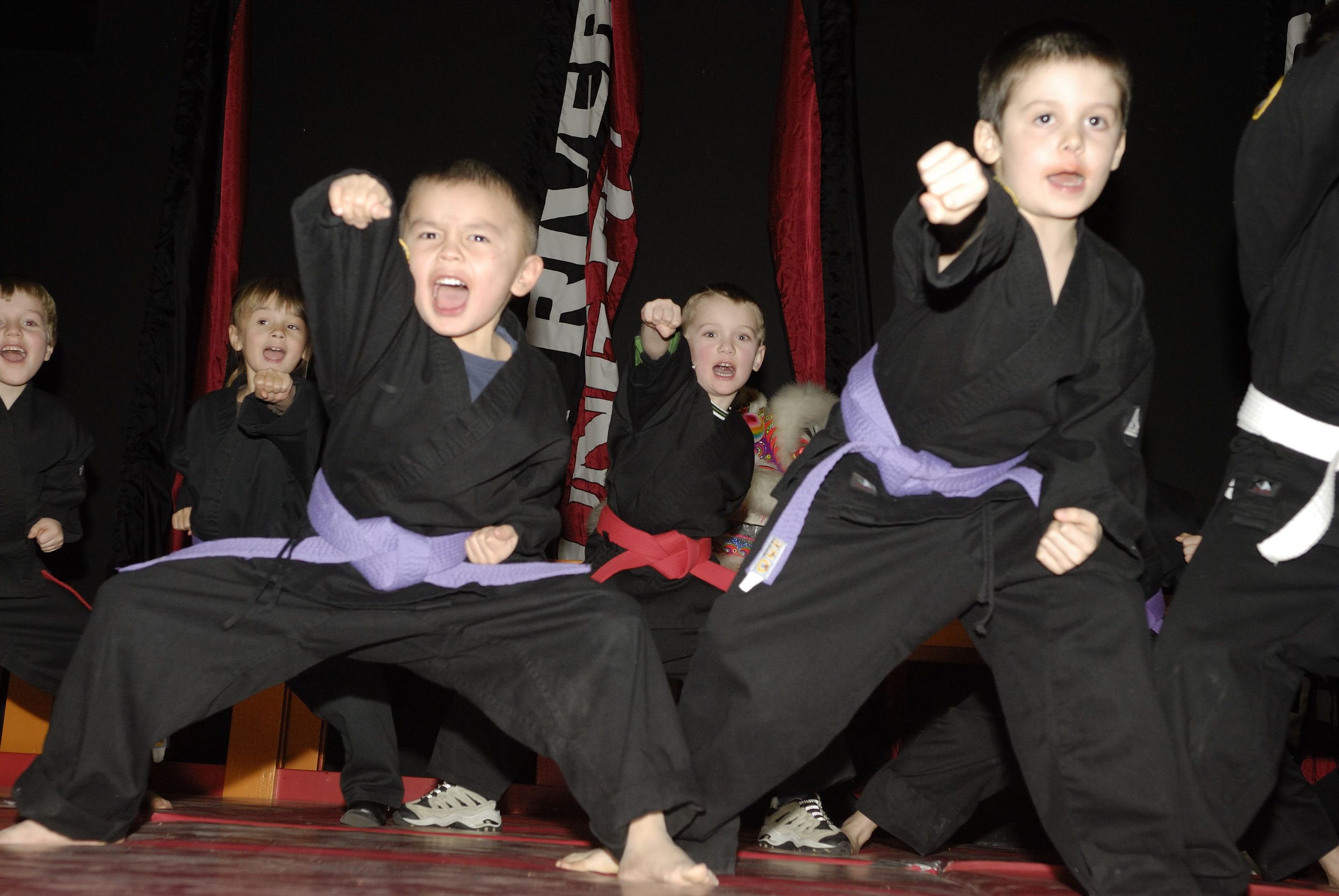 Main image of Silent River Kung Fu