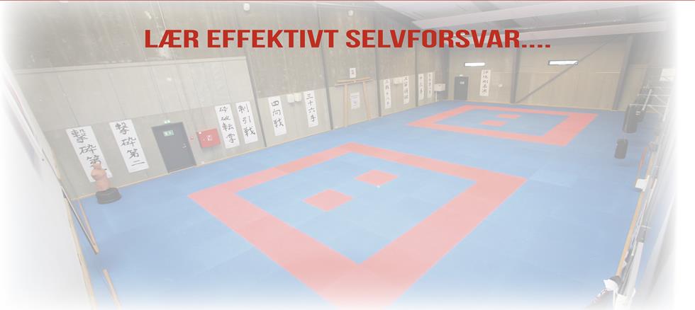 Main image of Silkeborg Karate Skole