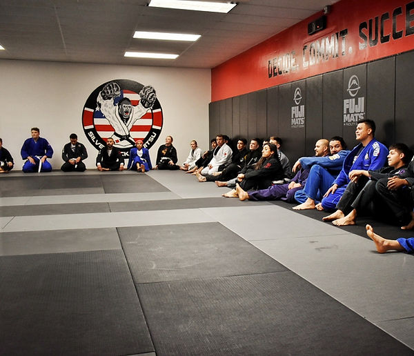 Main image of Silverback BJJ / Ares BJJ