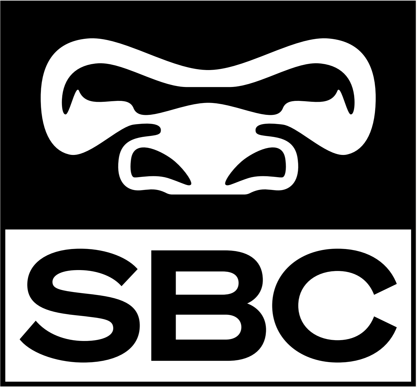 Main image of Silverback MMA Chur