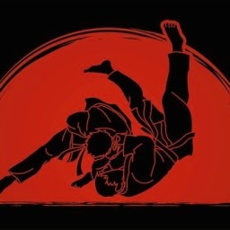 Main image of Sitka Judo Club