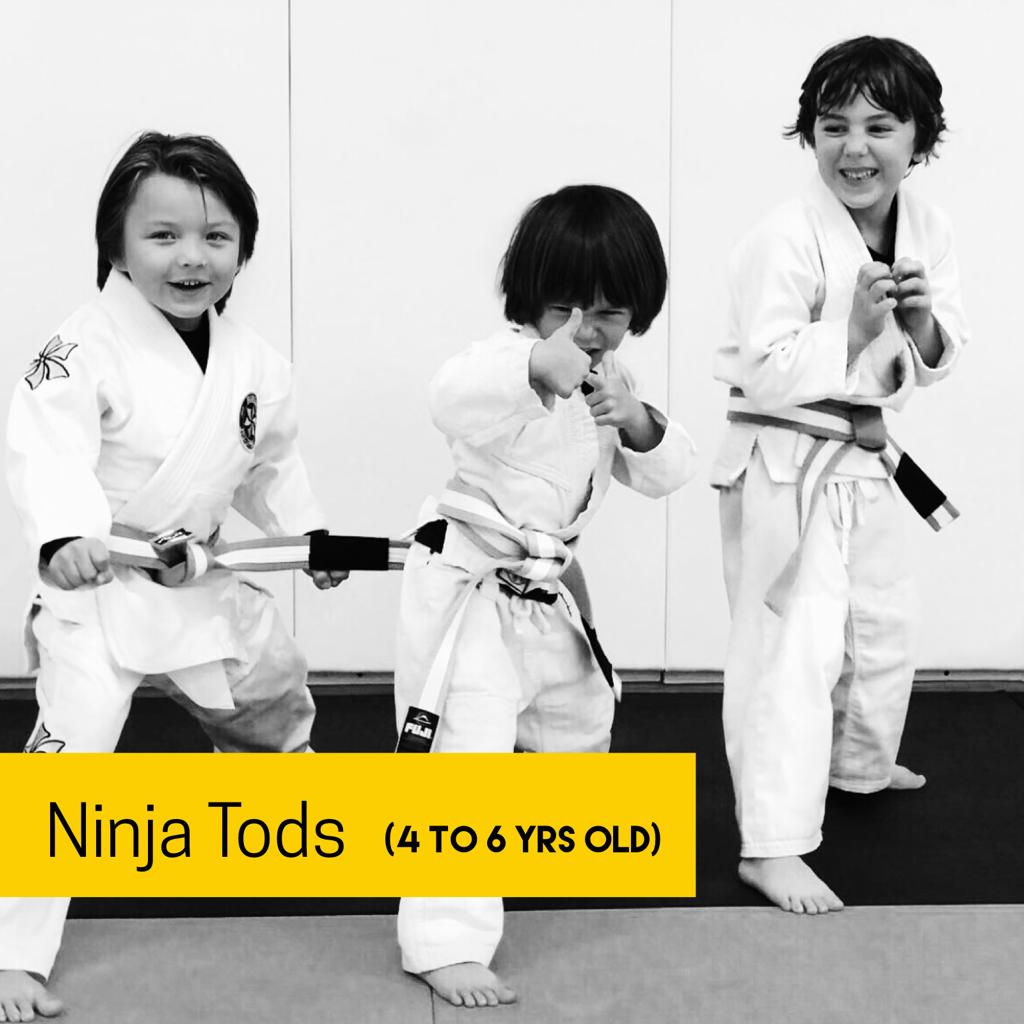 Six Blades Jiu Jitsu