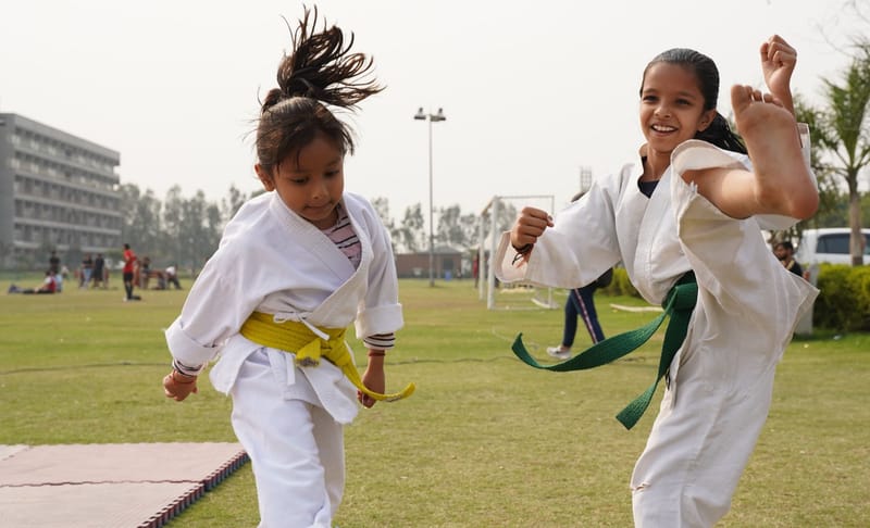 Main image of SK Cobras Martial Arts