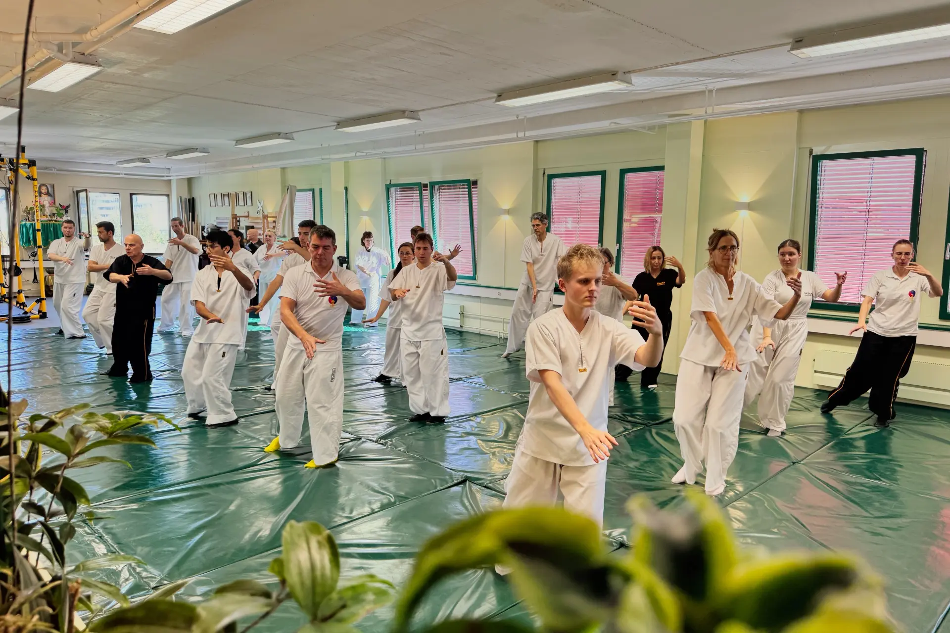 Main image of SKEMA Kampfkunst Uster