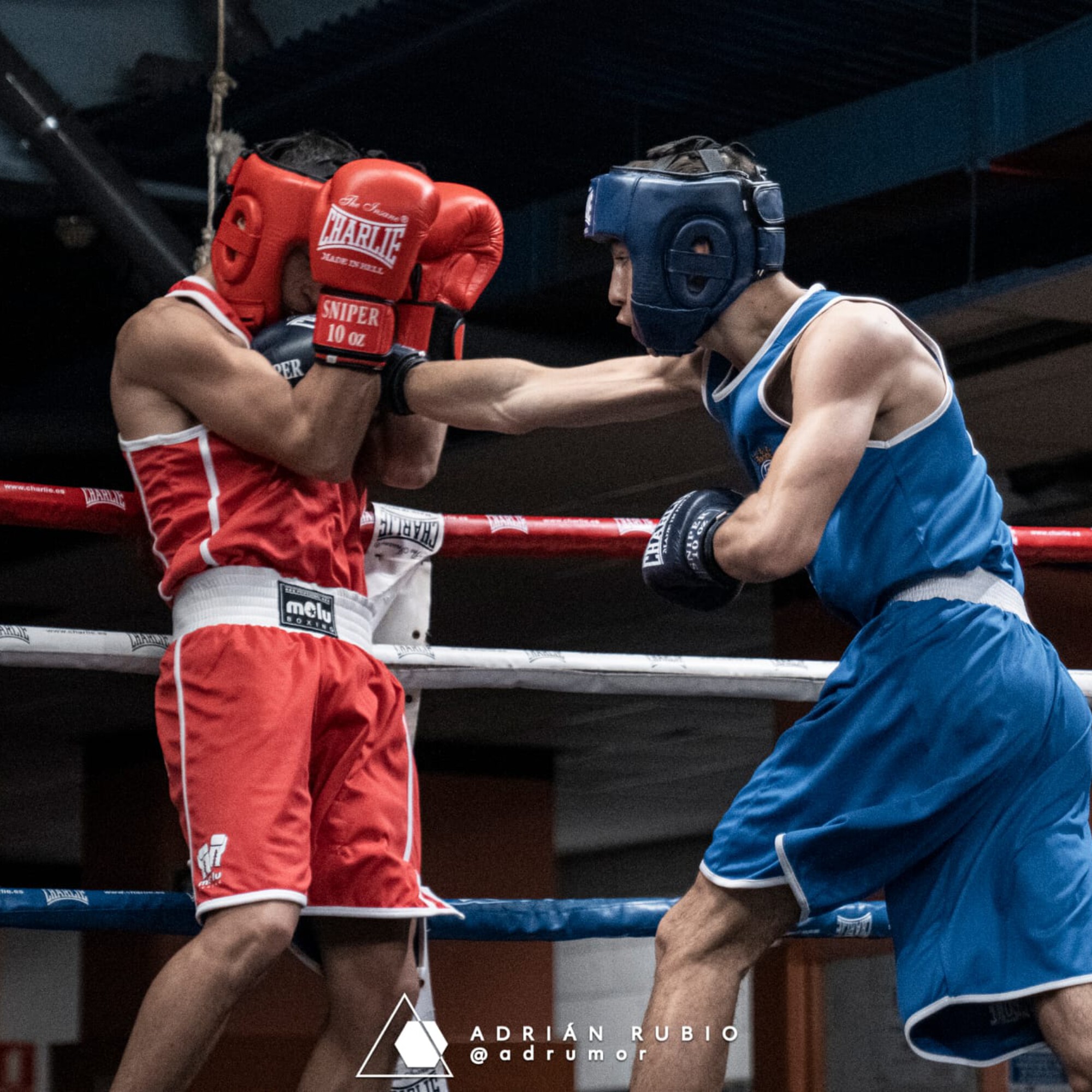 Main image of Skull boxing