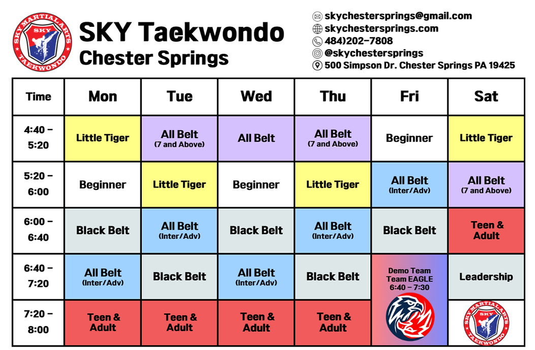 Main image of SKY Taekwondo Chester Springs