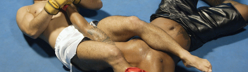 Main image of Slow Roll BJJ