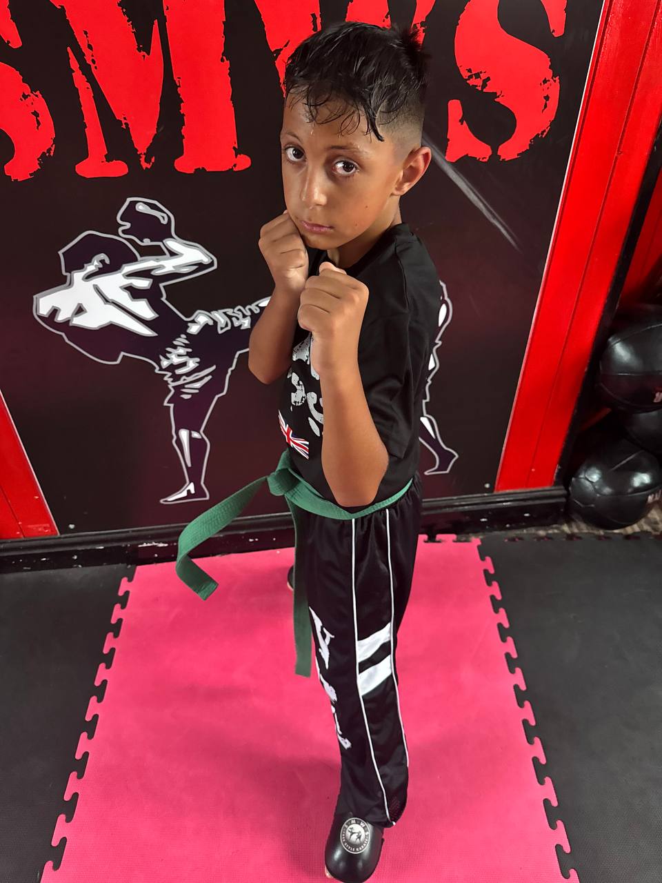 Main image of Smws Freestyle Karate