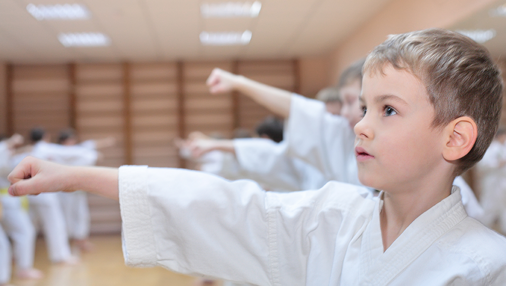 Main image of Snedigar Martial Arts