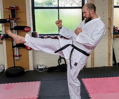 Main image of Soaring Eagle Karate