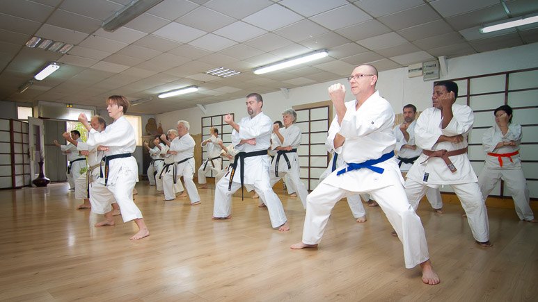 Main image of Sochin Dojo