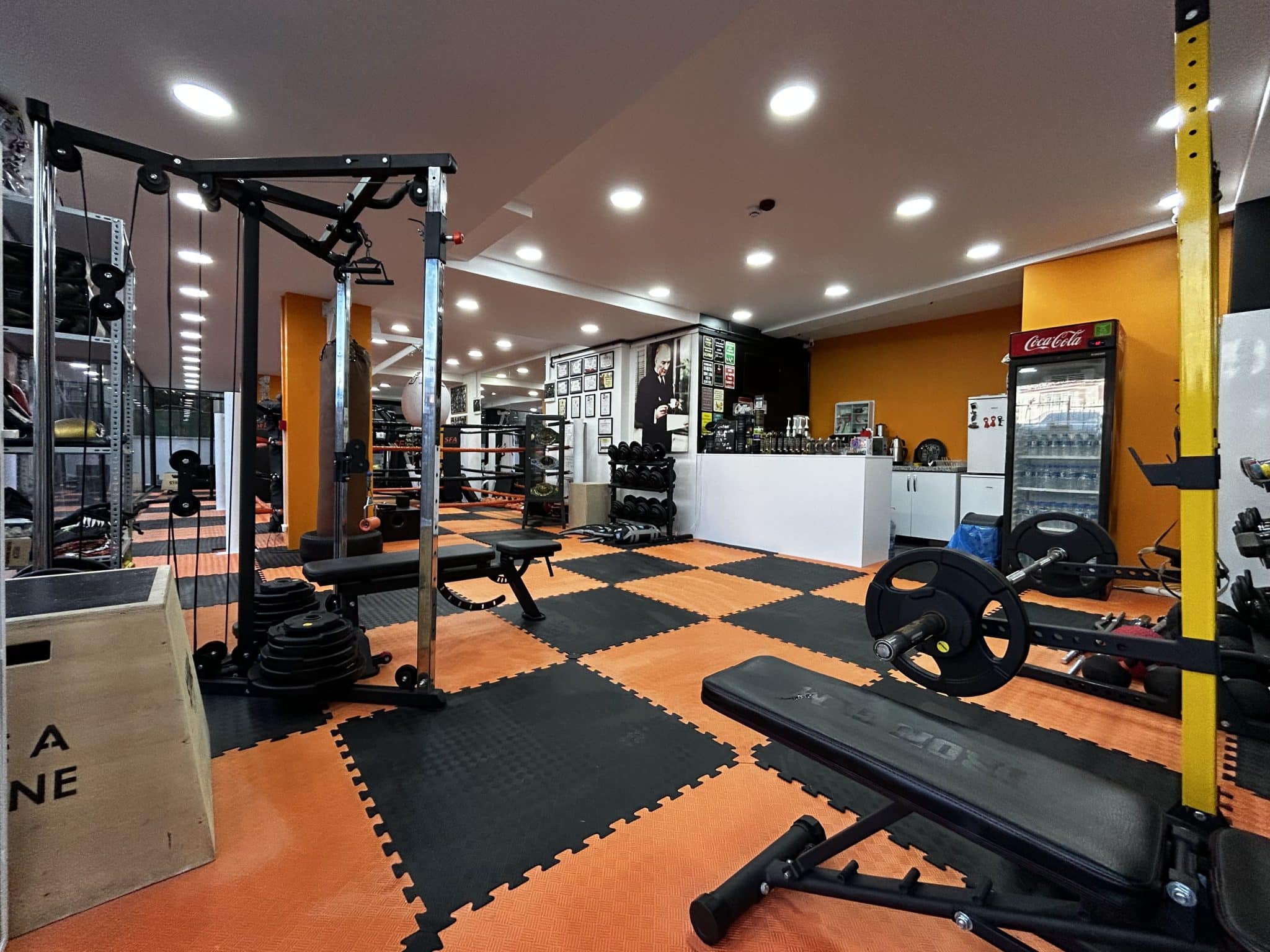 Main image of Solid Fight Academy
