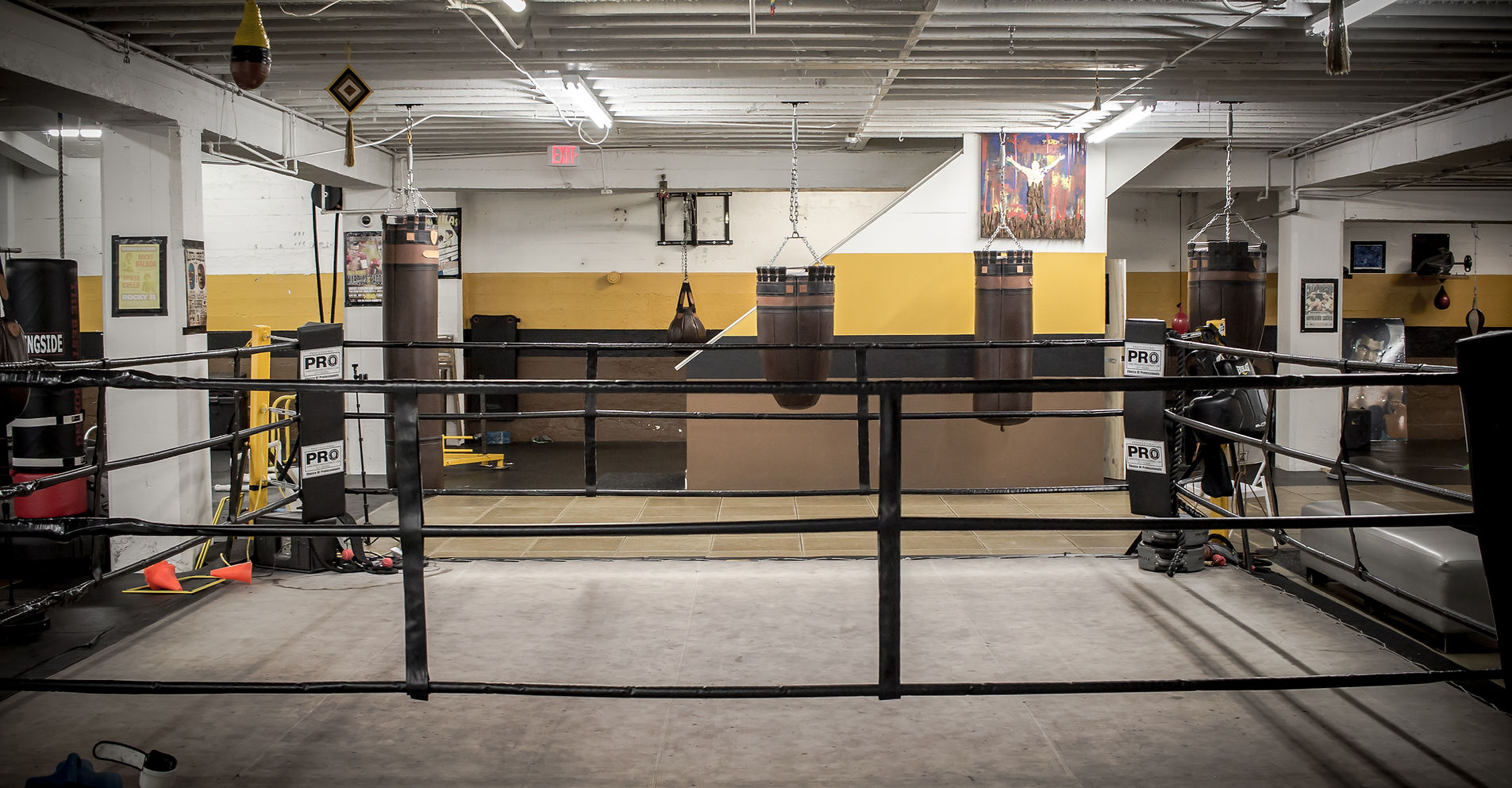 Solis Boxing academy image
