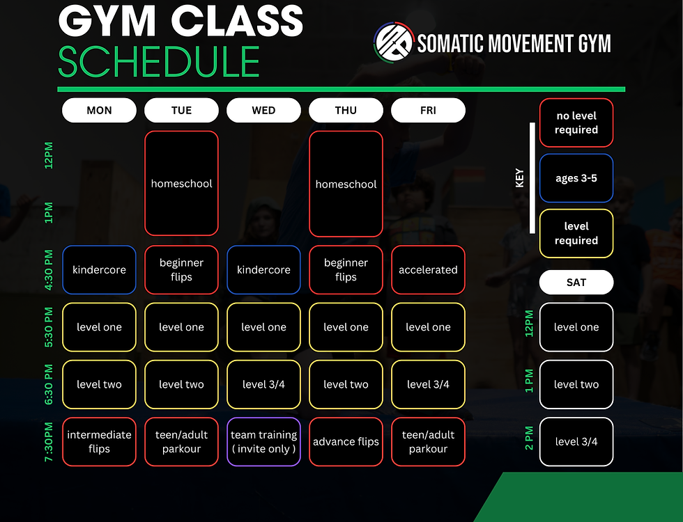 Main image of Somatic Movement Gym