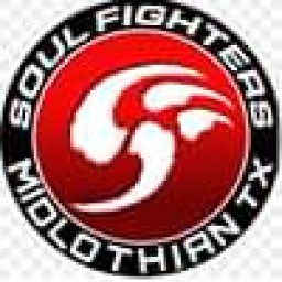 Main image of Soulfighters Midlothian