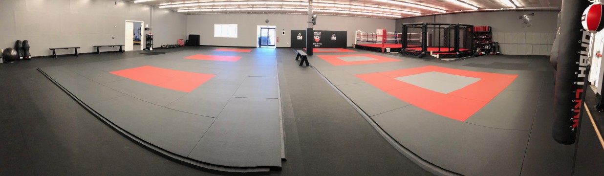 Main image of South Tampa Jiu-Jitsu & MMA