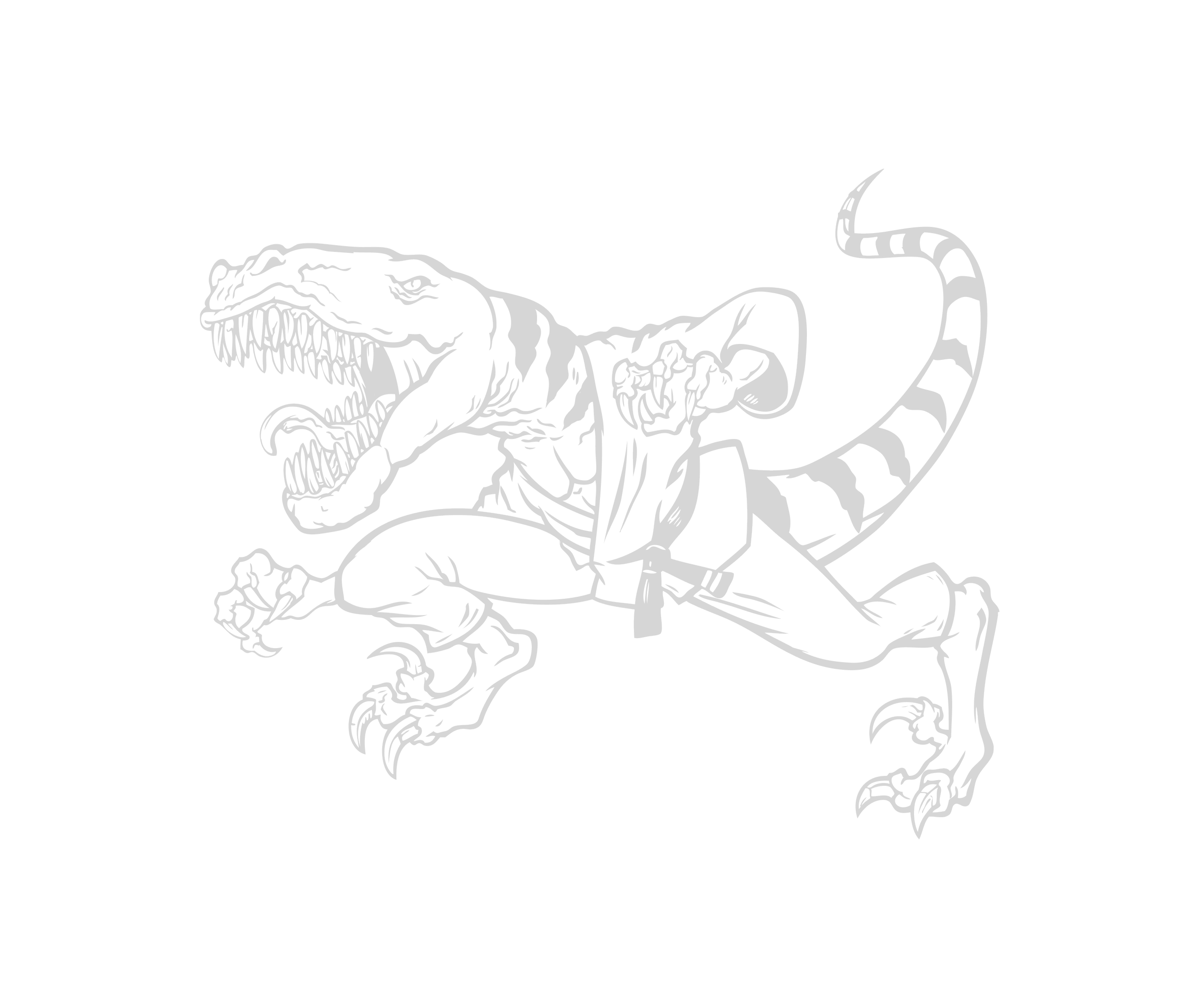 Main image of Spangler Brazilian Jiu Jitzu