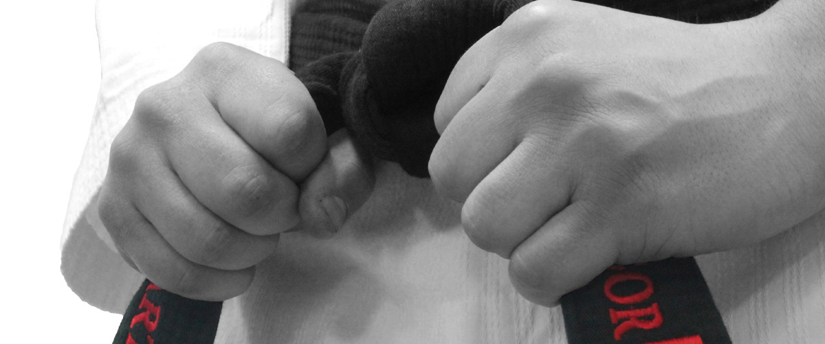 Main image of Spartan Taekwondo Academy