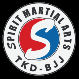 Main image of Spirit BJJ
