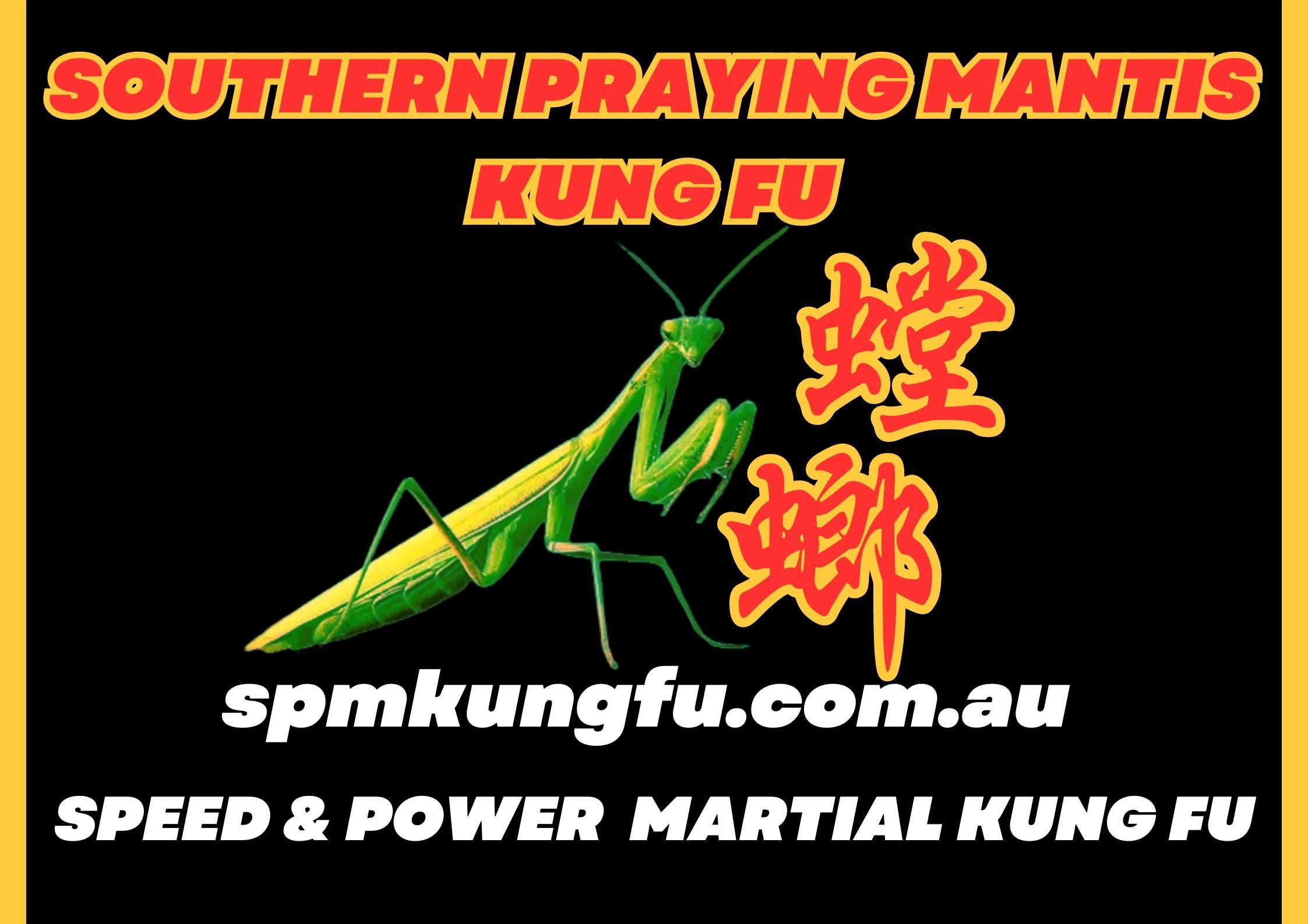 Main image of SPM Kung Fu