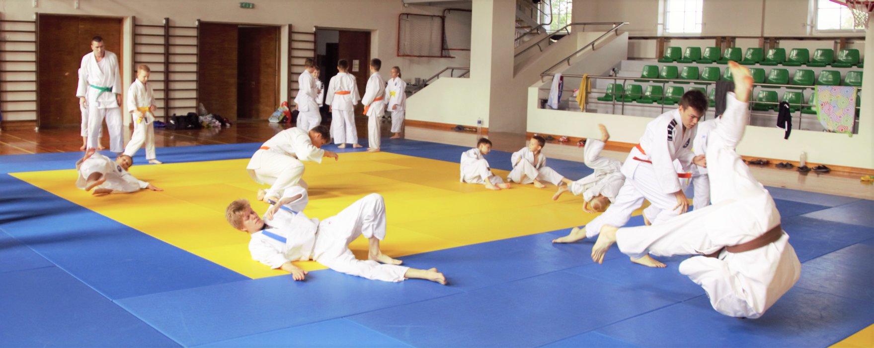 Main image of Spordikool Bushinkan