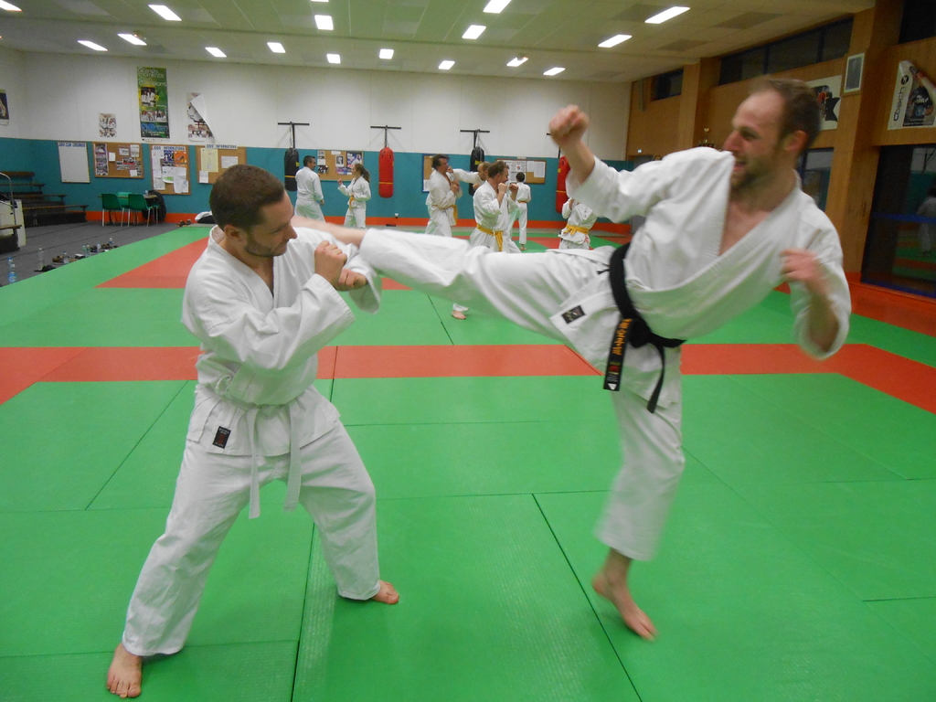 Main image of Sports Arts Martiaux Lesquin