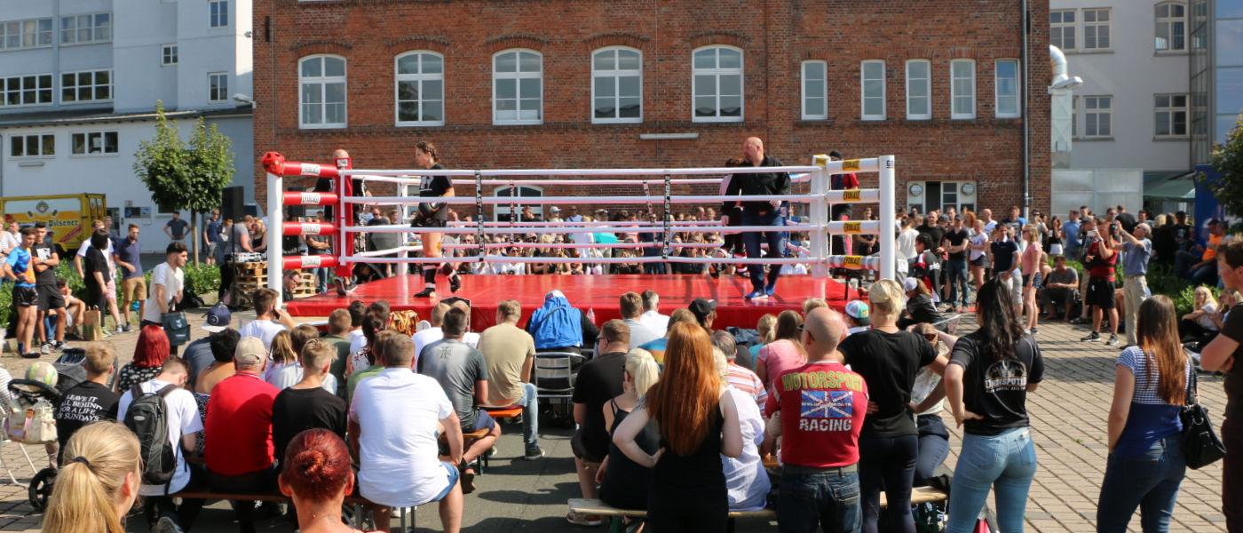 Main image of Sportschule TOSA INU fit&fight