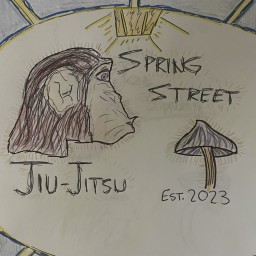 Main image of Spring Street Jiu-Jitsu