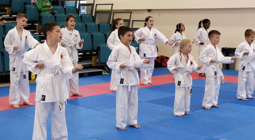 Main image of SRK Martial Arts Grays Dojo