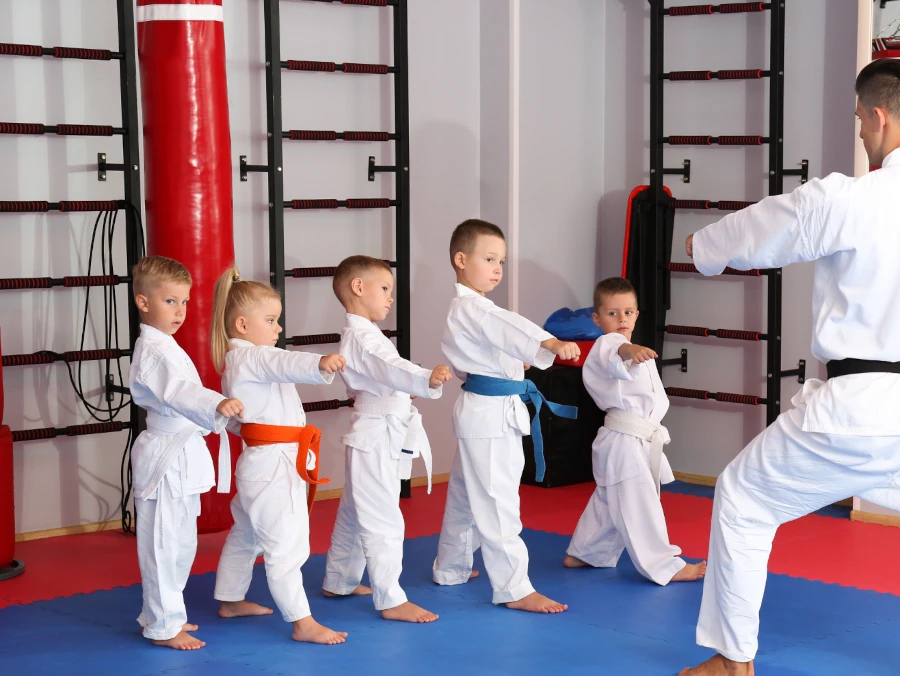 Main image of SSW HUSARZ Kicboxing