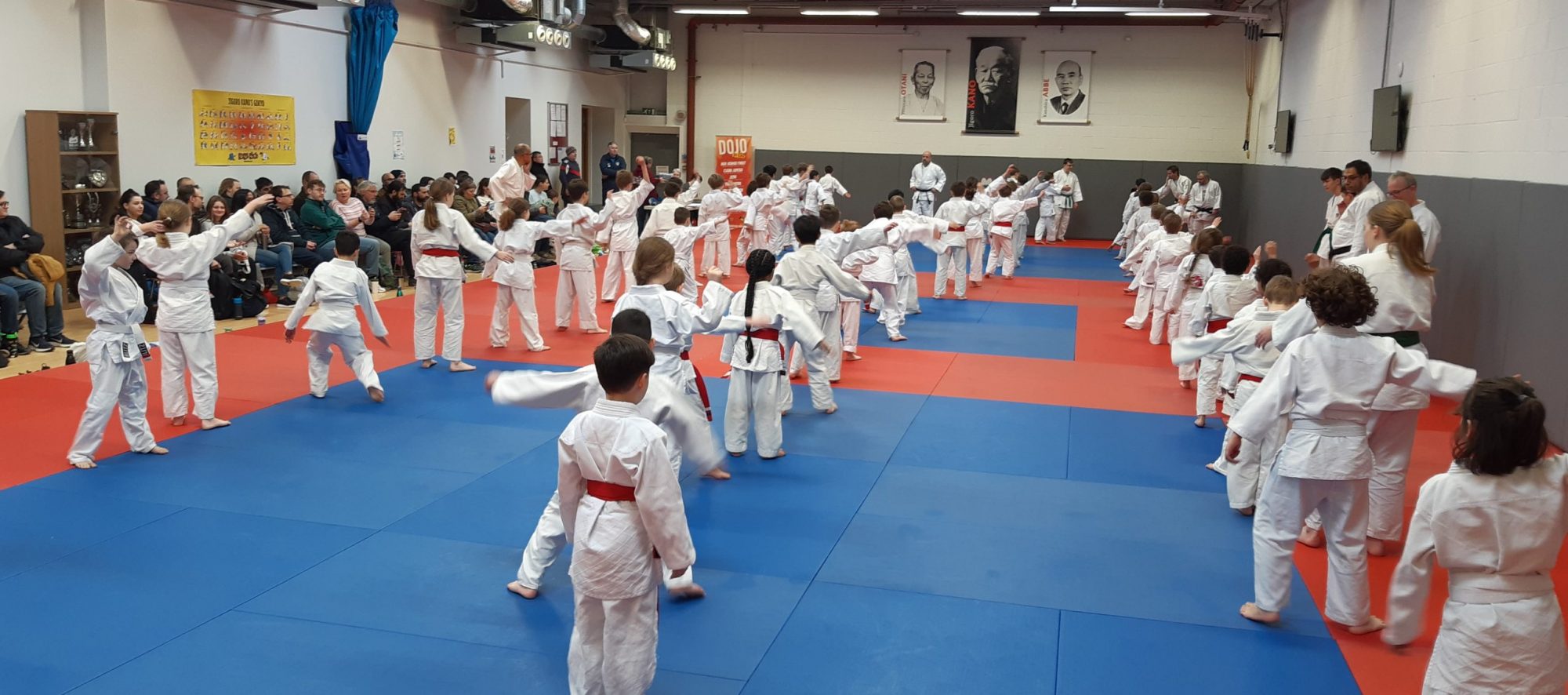 Main image of St Albans Judo Club