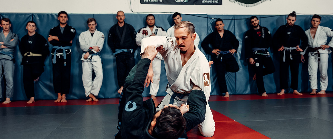 Standalone MMA, Brazilian Jiu-Jitsu, Boxing, Muay Thai Kickboxing and Fitness academy image