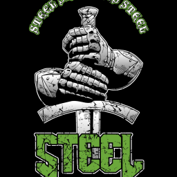 Main image of Steel Wrestling