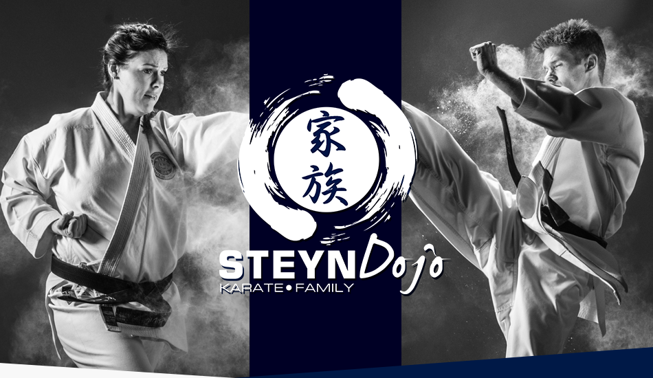 Main image of Steyn Dojo