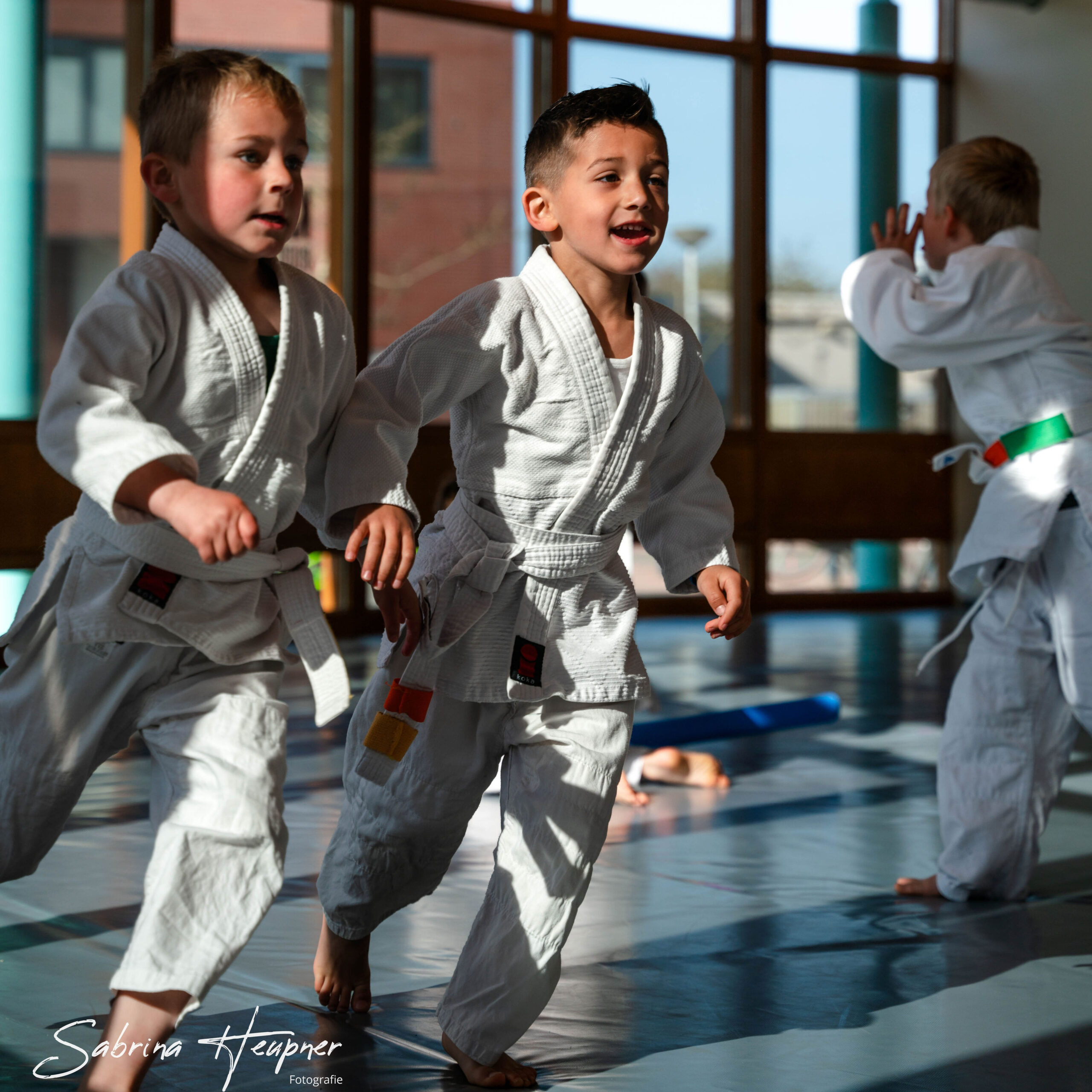 Main image of Stichting Budo Instituut Kiryoku