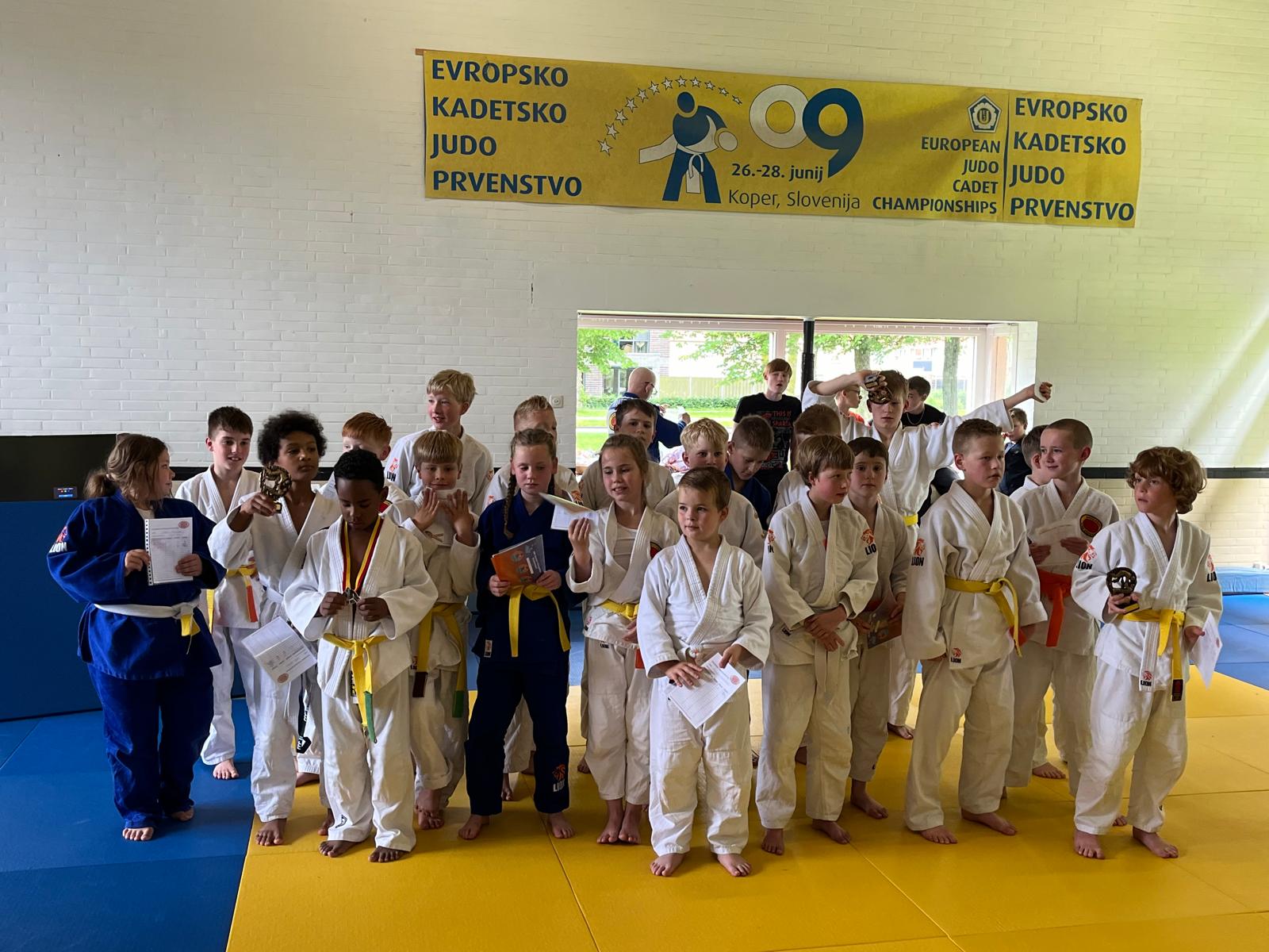 Main image of Stichting Shoganai