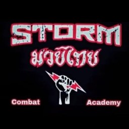 Main image of Storm Combat Academy