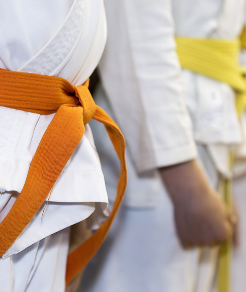 Main image of Strongheart Martial Arts Academy