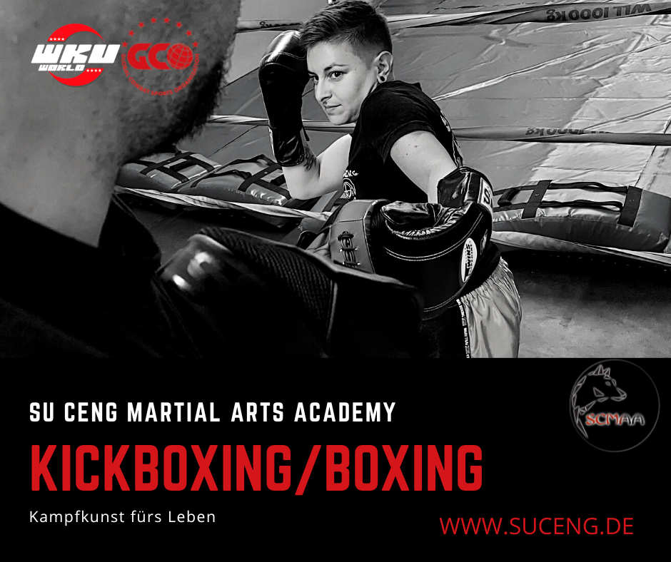 Main image of Su Ceng Martial Arts Academy