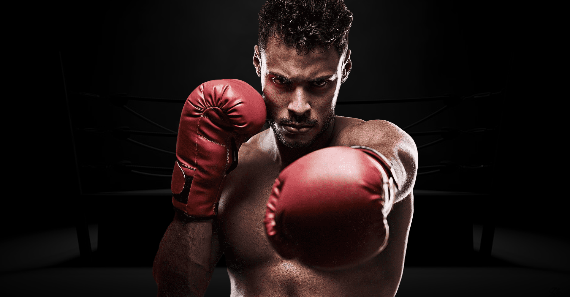 Main image of Sugar Bert Boxing Academy
